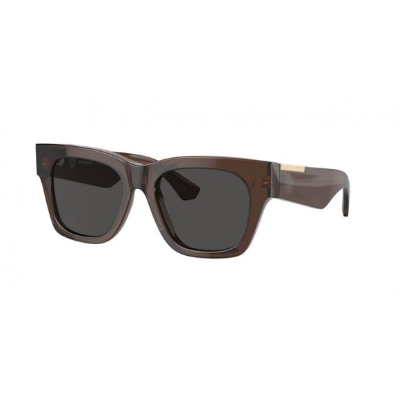 NWT BURBERRY SUNGLASSES UNISEX BROWN - Picture 1 of 3